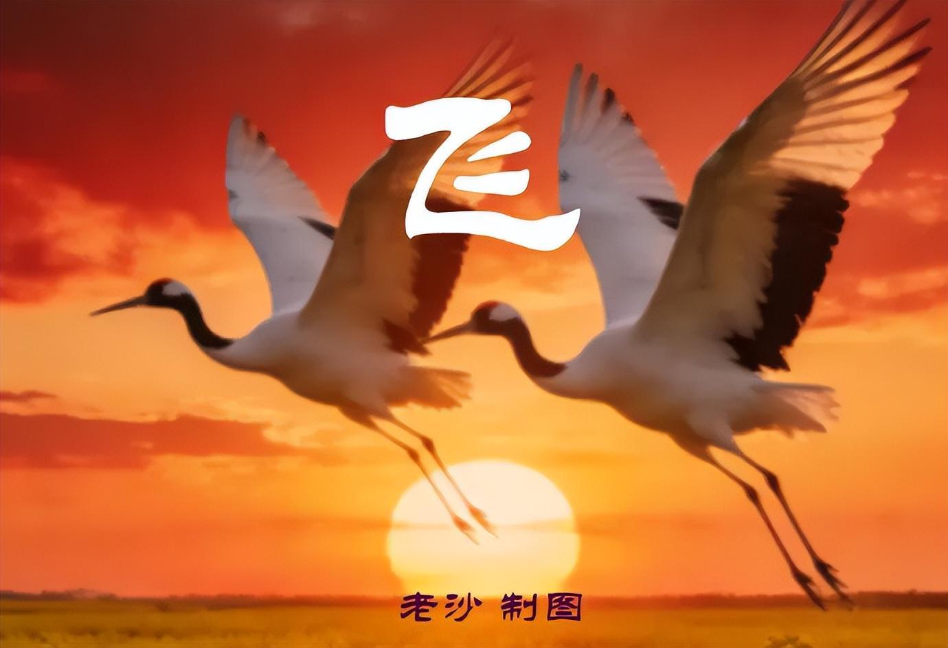OD体育app-4.28股市早8点丨英伟达疯了谷歌飙了